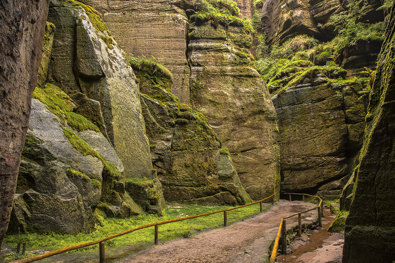 Teplice Rocks
